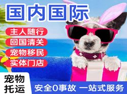 厦门机场托运国际宠物托运 【国